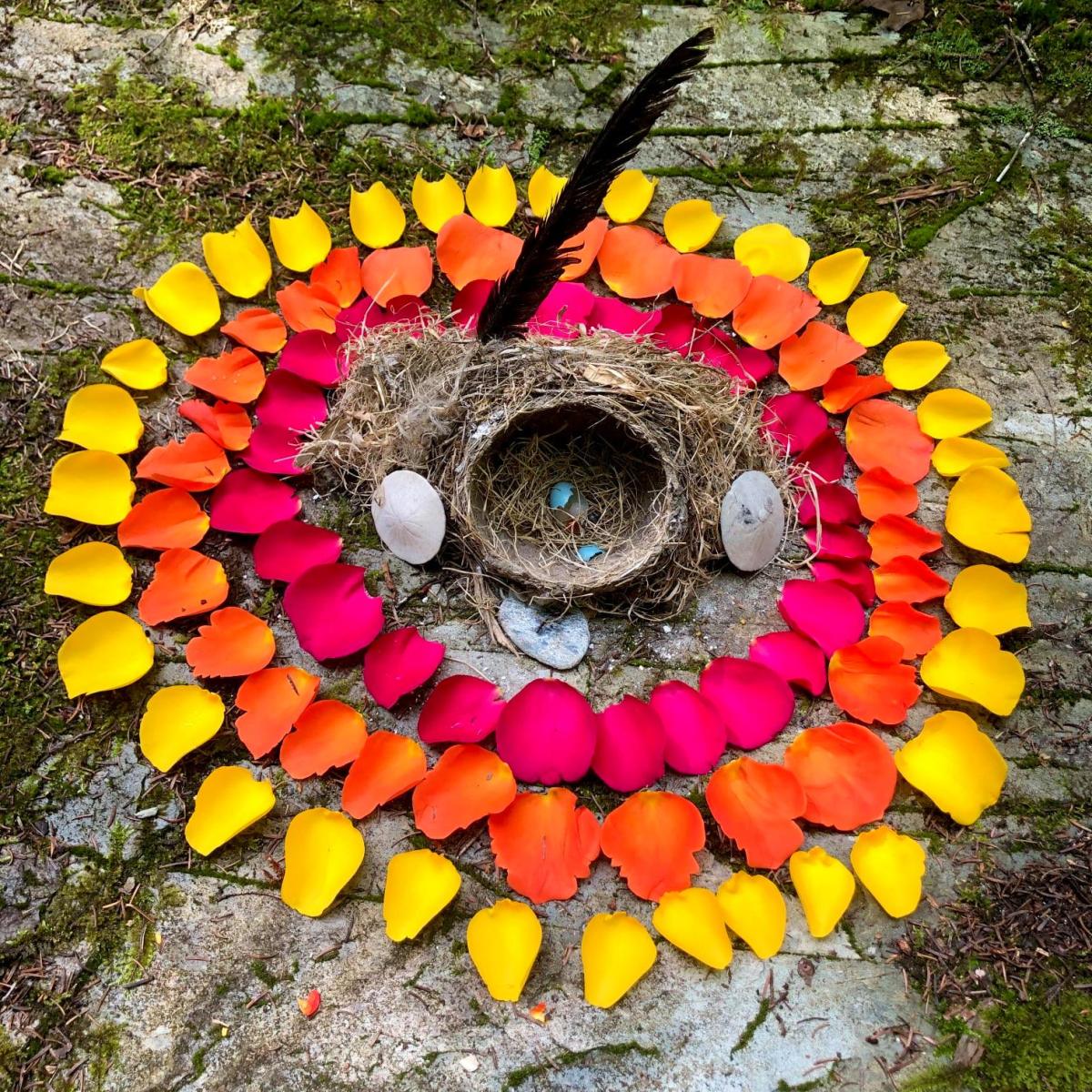 Bird’s Nest Mandala