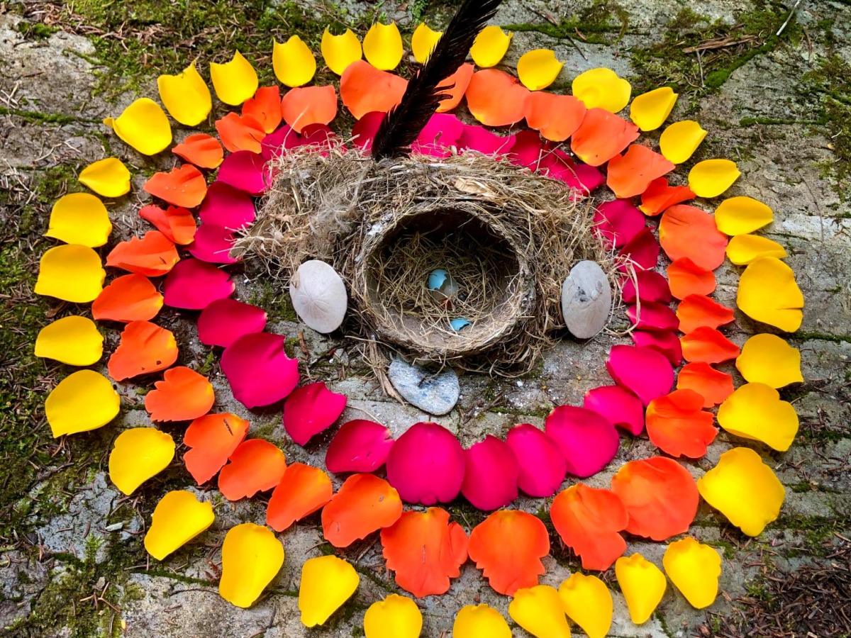 Bird’s Nest Mandala